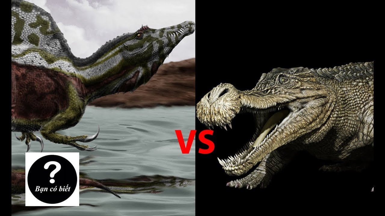 Spinosaurus vs Sarcosu...