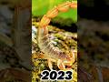 2023 scorpion and 5000bce scorpion  deepak gaming toonz youtube short