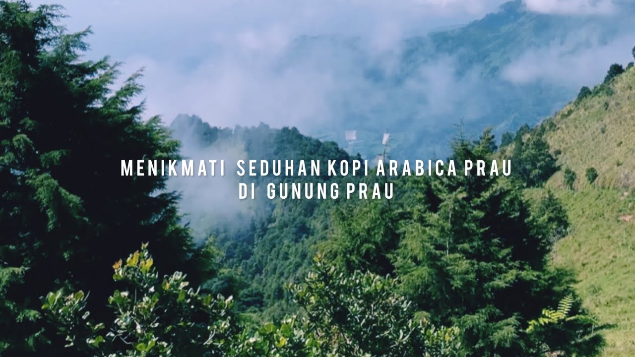 ASMR ALAM EXPERIENCE BREWING COFFEE V60 METODE di Gunung PRAU YouTube