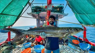  ‼️Deep Sea Fishing Adventure Day 2 | Massive Kolusalai Catch & Fresh Seafood Feast! 🐠🍽️ UNCUT