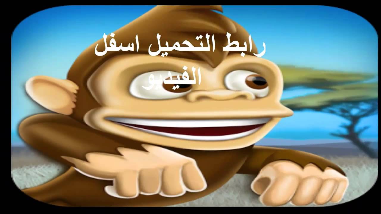 YouTube youtube