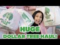 HUGE DOLLAR TREE HAUL! HOUSEHOLD, BEAUTY, AND MORE! | SPARKLE ON FOREVER