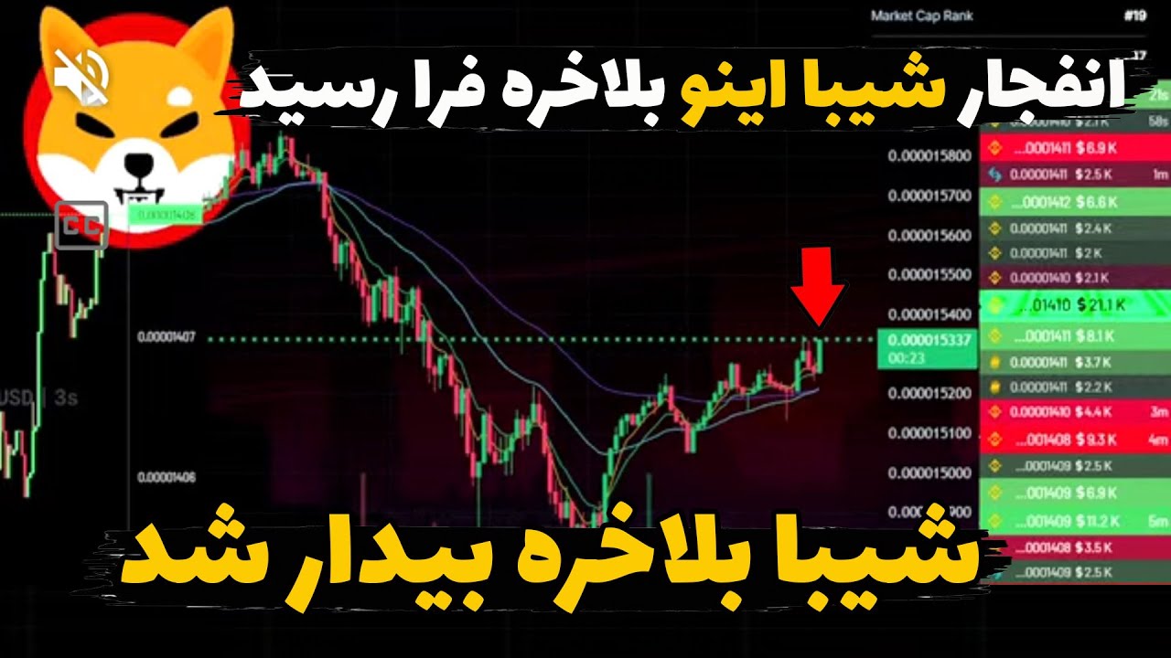 بلاخره زمان انفجار شیبا اینو فرا رسید🔥😱 فرصتی که نباید از دست بدی