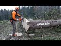 Stihl MS 500i - First Review Chainsaw w/o Carburetor