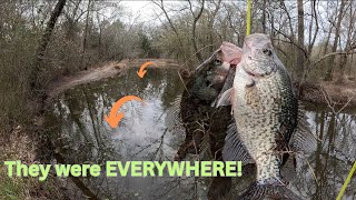 Download Lagu THIS East Texas creek was SWARMING with CRAPPIE! My BEST day ever here! MP3