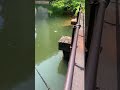 Fishing#lurefishing