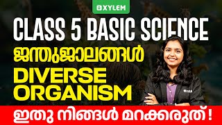 Class 5 Basic Science | Diverse Organisms (Animal World) | Must Study Chapter | Xylem Class 5
