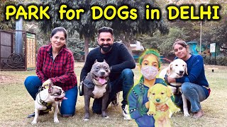 Park for DOGS in DELHI 🐶 | Harpreet SDC