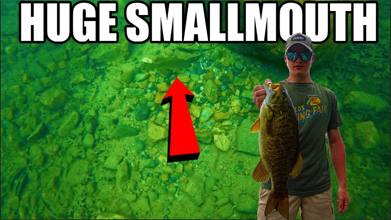 Quabbin Reservoir SMALLMOUTH BASS Fishing (Underwater Footage)
