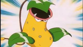 Victreebel Screams