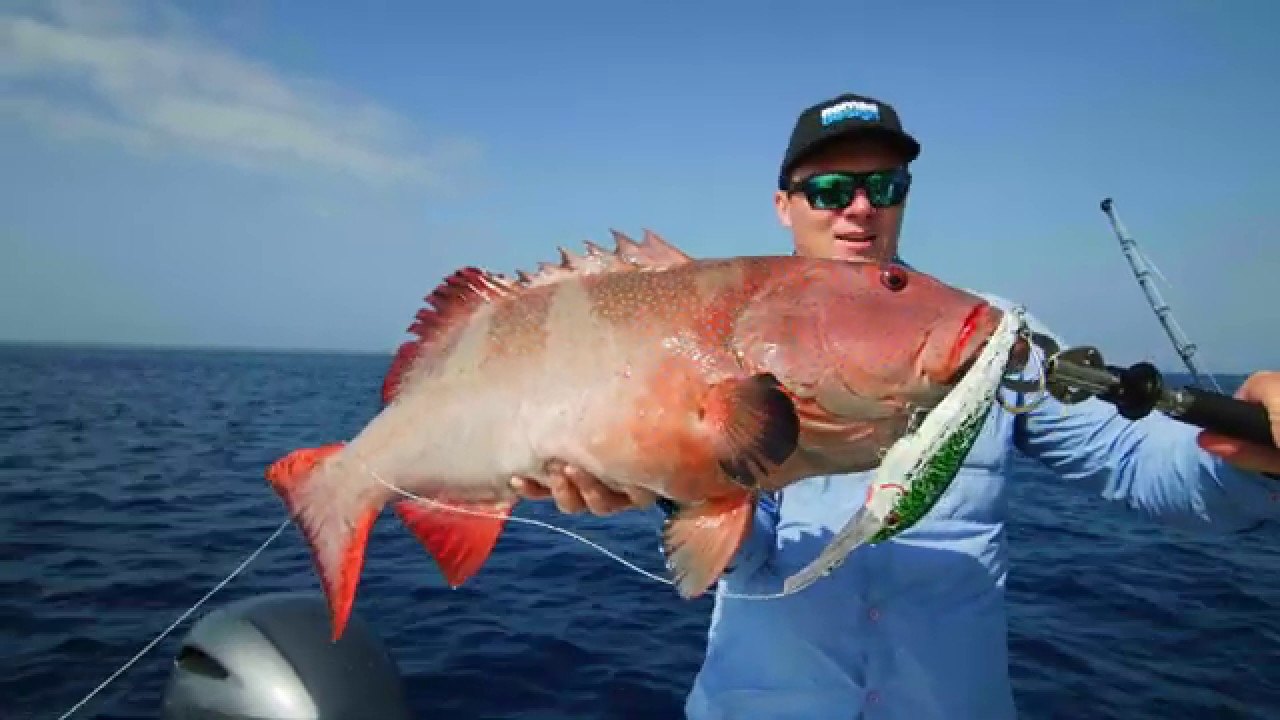 Massive Coral Trout on the DTX 200 