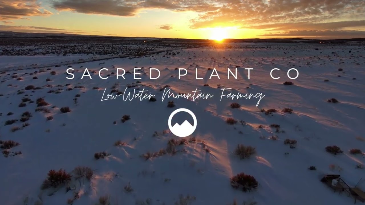 SACRED PLANT CO Fly Over