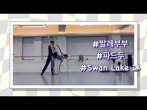 [SUB][Wangzy Ballet] 국립발레단 수석무용수 남편에게 백조의 호수 화이트 파드두 코칭받기 🦢swan lake white pas de deux 🦢 thumbnail