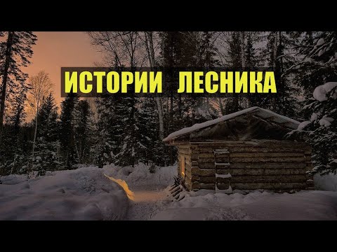 ИСТОРИИ из ЖИЗНИ