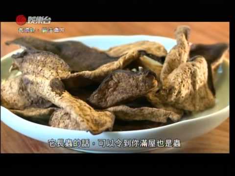陳年普洱 、陳皮 功效與特性