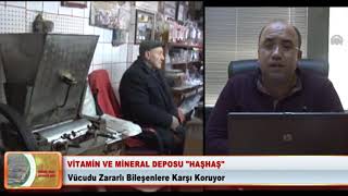 Mineral Deposu Haşhaş. Doç.dr. Veli Gök