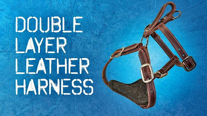 Double Layer Leather Harness