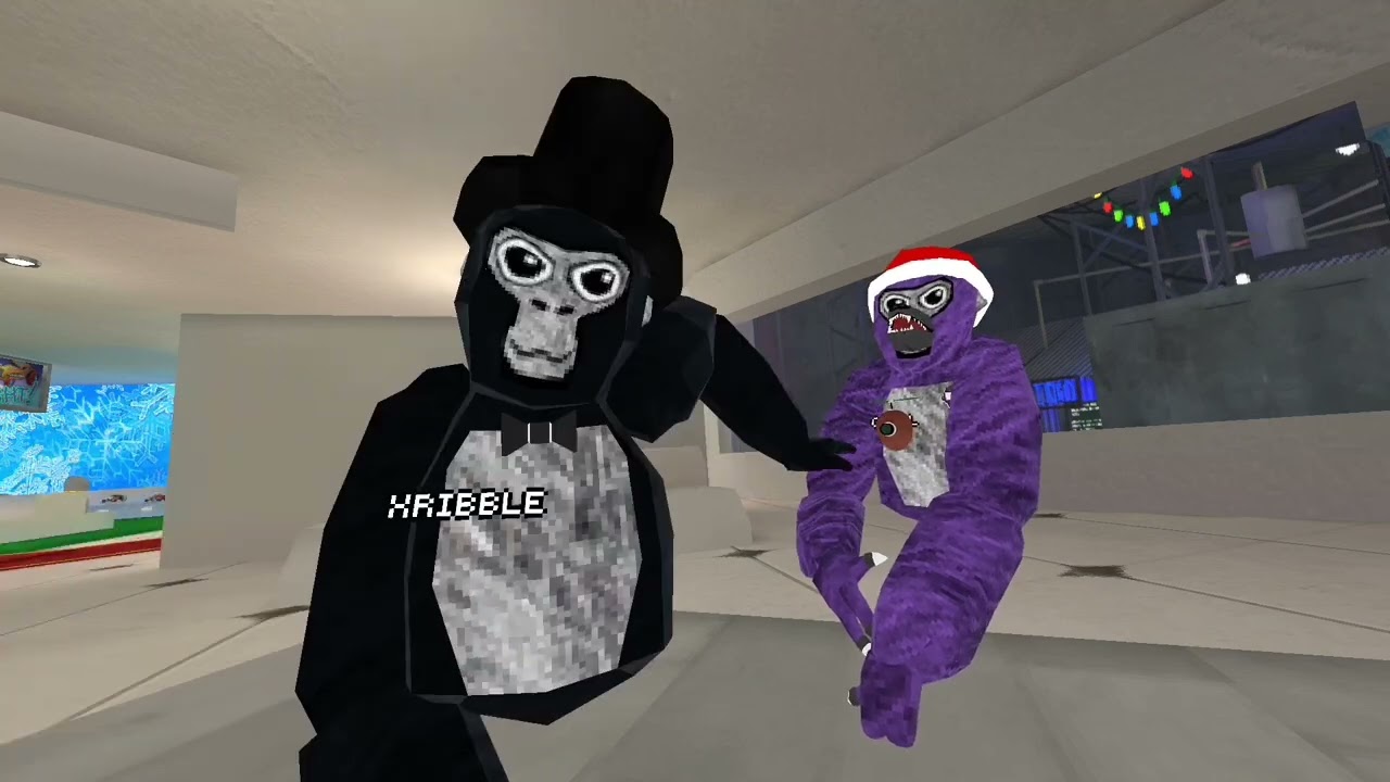 First video: introduction