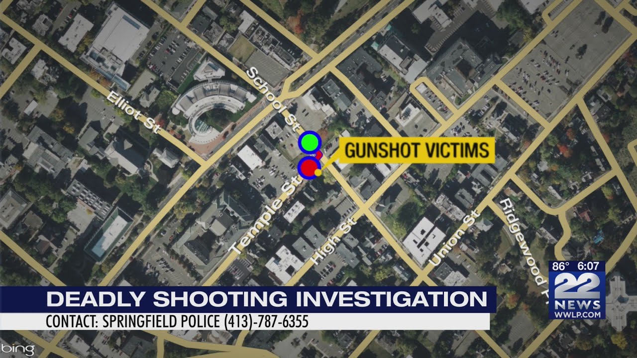 Police investigating deadly shooting at intersection in Springfield ...
