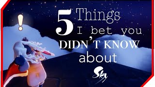 5 things I bet you didn’t know about Sky CotL