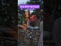 26.6.2#박지현#평창#웃자고요#행복이란#마음에서 #봉숭아학당문화혁신학교