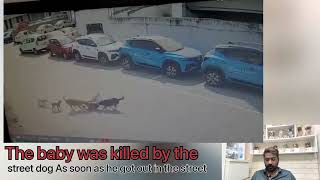 The baby was killed by the street dog || Street dog attack by Passion of pets 29 views 1 year ago 1 minute, 7 seconds