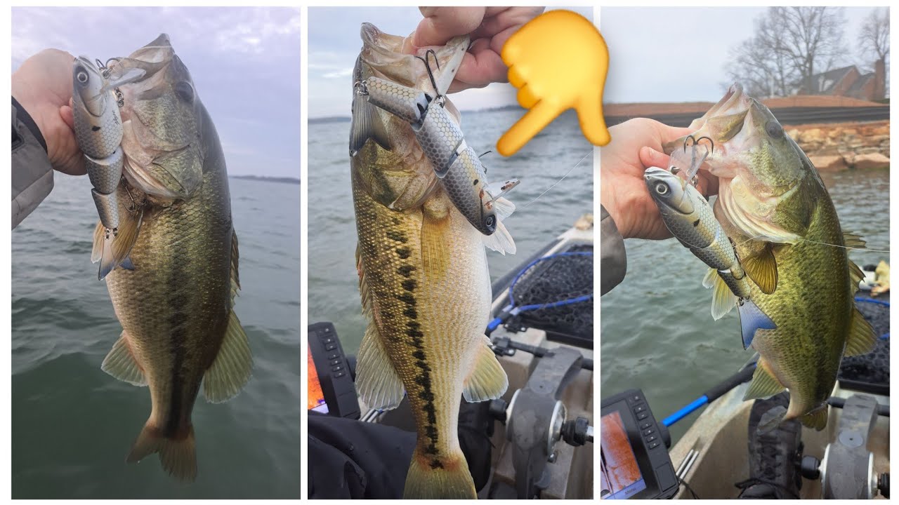 Big baits for big bass on Lake Norman