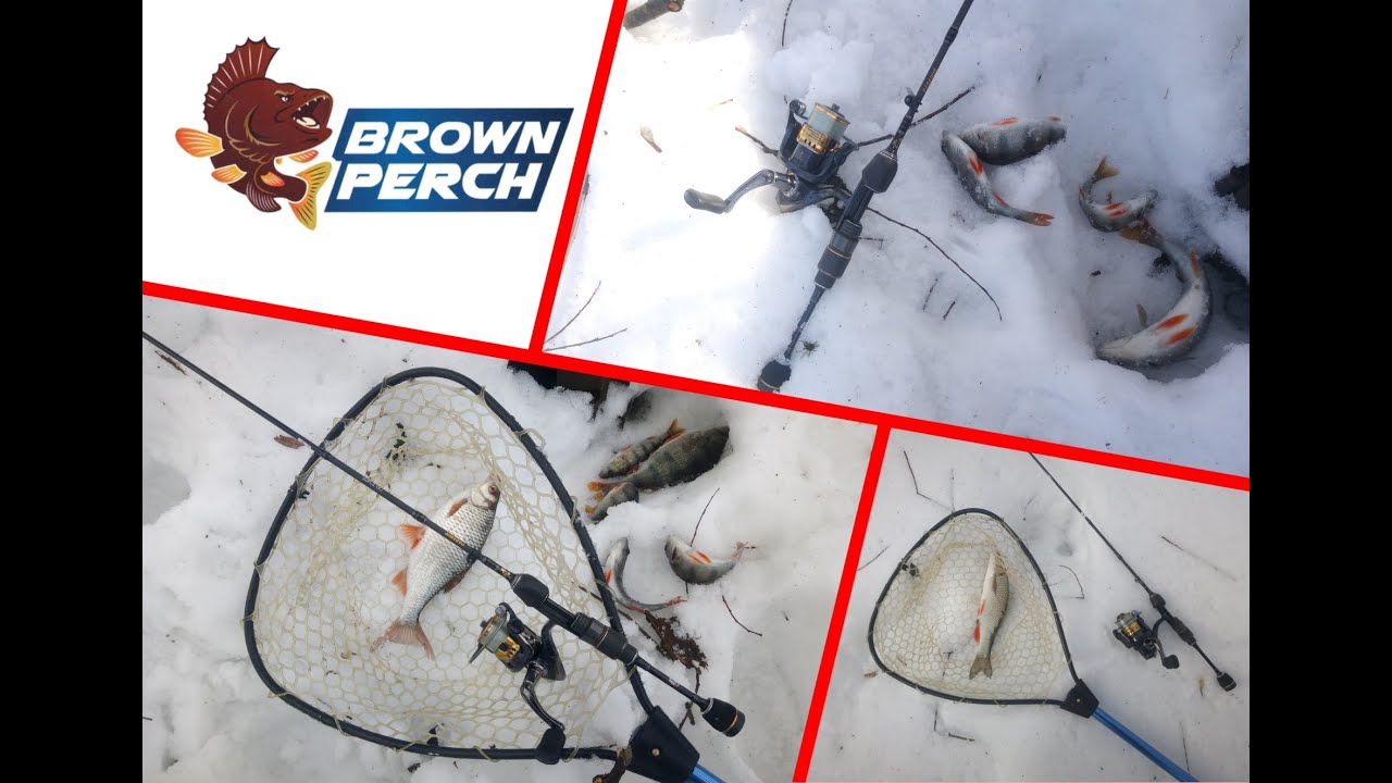 Внимание! Работает Brown Perch! Или не работает? :)