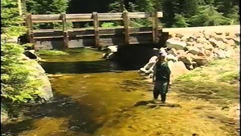 Getting Across: Aquatic Organisms and Road-Stream Crossings, A Brief Introduction