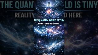 The Mind-Bending World of Quantum Physics #sciencefacts #shorts #mindblowing