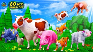 Animals Adventures Compilation 1 hr Compilation - Farm Animals and Wild Animals Cow Pig Cat Dog Lion