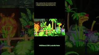 After a yearlong hiatus, the Louisville Zoo’s Wild Lights festival has returned, turning the zoo int