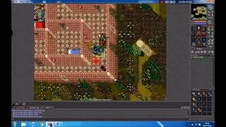 tibia -matando pk..