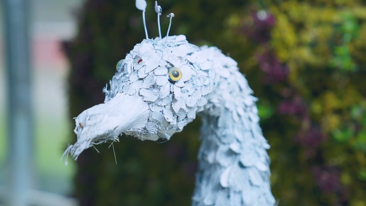 Petey, the Peacock – City of Greenwood Festival of Flowers