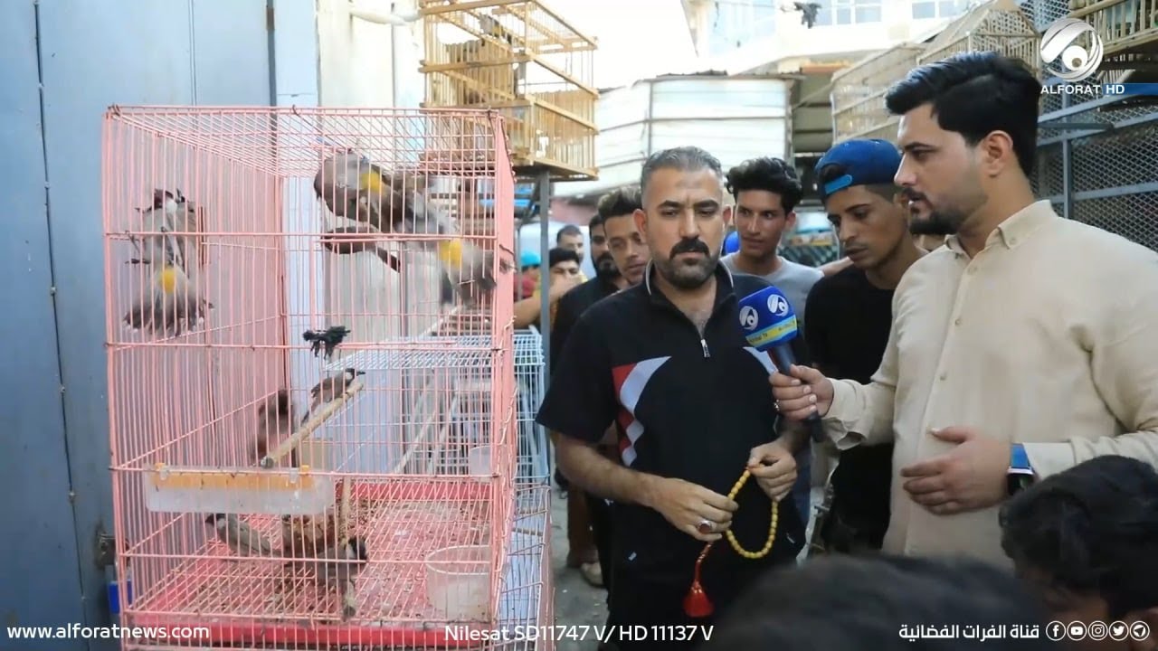 ناسنا مع معتز الحبيب .. البصرة / سوق الطيور - البصرة القديم | 2022/6/21