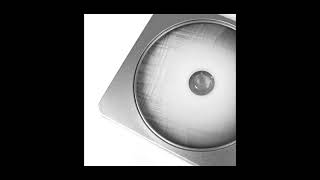 Downscope - Schema /0/8