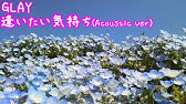 Glay 逢いたい気持ち Youtube Glay 逢いたい気持ち Youtube
