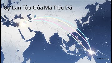 Chú Ngựa Hoang Mang Giấc Mơ