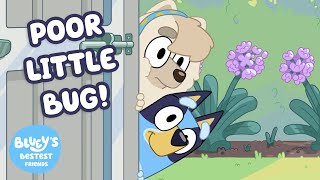 Butterflies 🦋 - New Season 1 Highlight ✨ | Bluey's Bestest Friends -  Channel