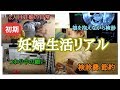 【妊娠初期】つわり中の旦那への願い　病院検診の様子　妊婦検診節約中