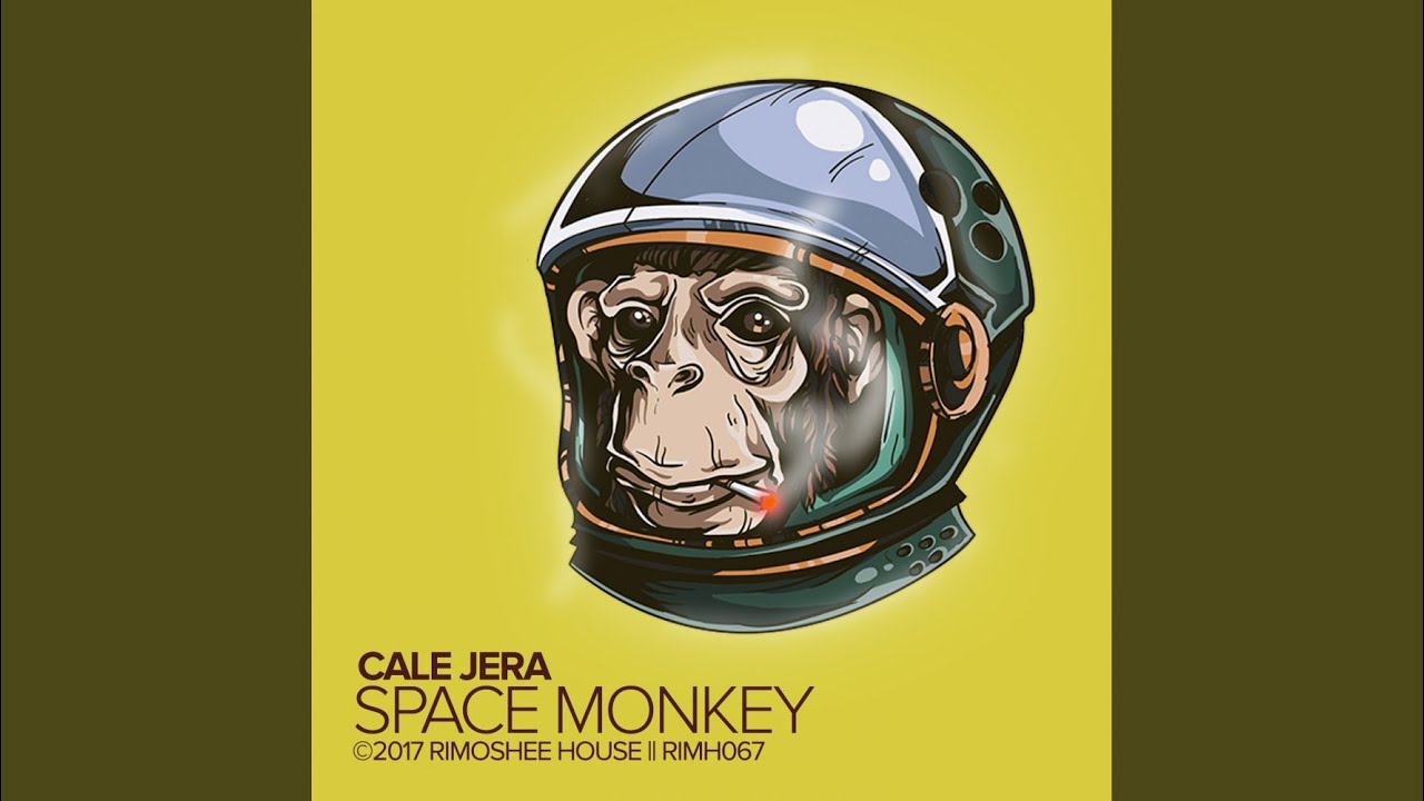 Space monkey. Cosmic Monkey. Space Monkey ашка. Psy Space Monkey.