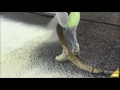 Spray Foam over Gravel BUR