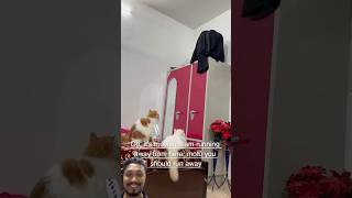 Baba Bangali ko bulao👹 #cat #catcomedy #viralcats #catvideo