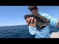 The bite was Hot! Black Seabass, Trigger fish and more!