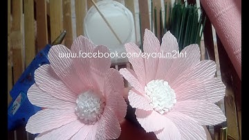 Daisy ( or gerberas) paper flower - Hoa cúc từ giấy nhún