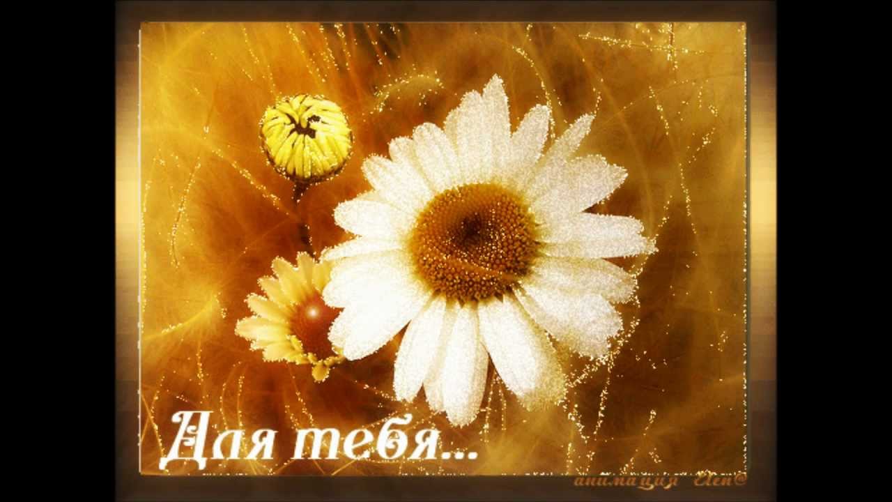 ������� � ������� �������� ����