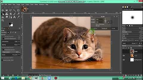 MEMBUAT GIF DENGAN GIMP