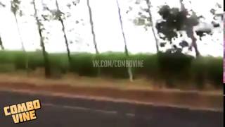 Combo Vine 167