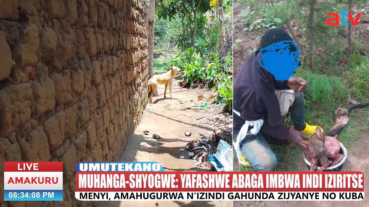 MUHANGA:YAFASHWE ABAGA IMBWA INDI IZIRITSE