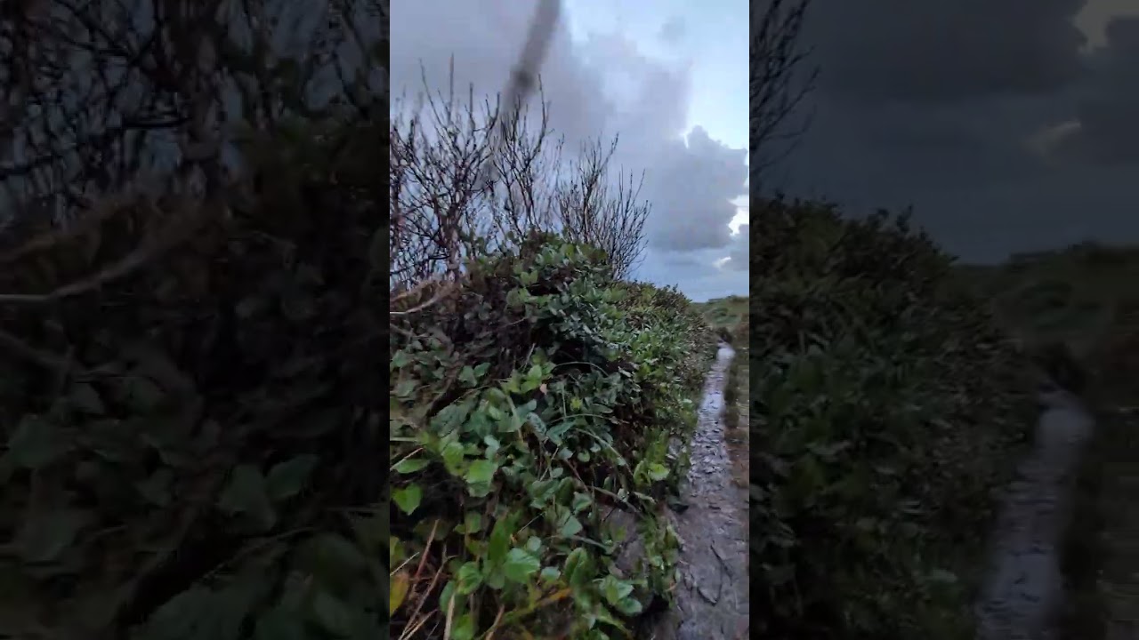 6+ Acres of Ocean Frontage, 4059 Highway 1 01